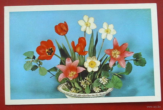 С днём рождения! Подписанная. Двойная. 1980 года. Круцко. 1108.