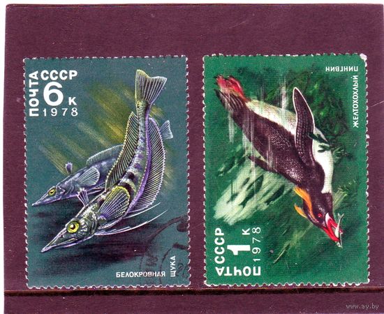 СССР.Животный мир Антарктики.1978.