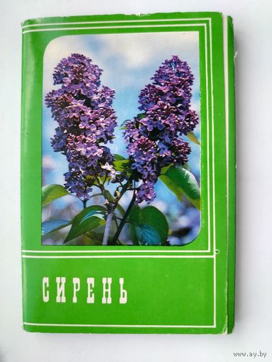 Сирень. Набор открыток 1976 года. ( 30 шт. ) Н-25.