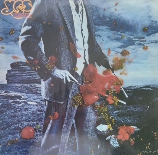 YES /Tormato/1978, WB, LP, EX, Germany