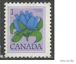 Канада. Цветы. Горечавка. 1977г. Mi#651.