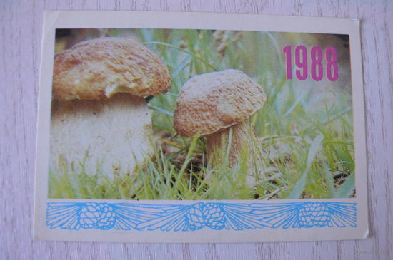 Календарик, 1987, Гриб боровик, изд. Украина.