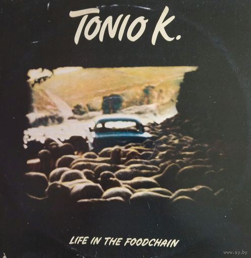 Tonio K.  1978, Epic, LP, Germany