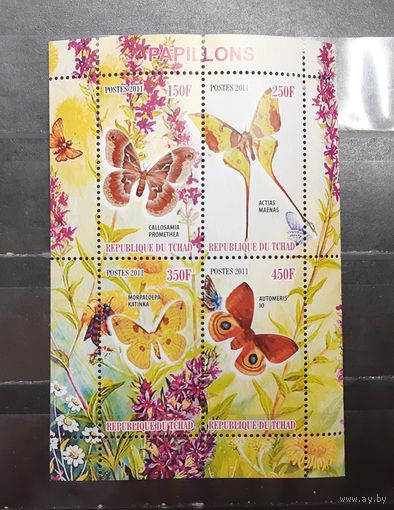 Чад. 2011 год. Фауна. Бабочки (малый лист) (1457)