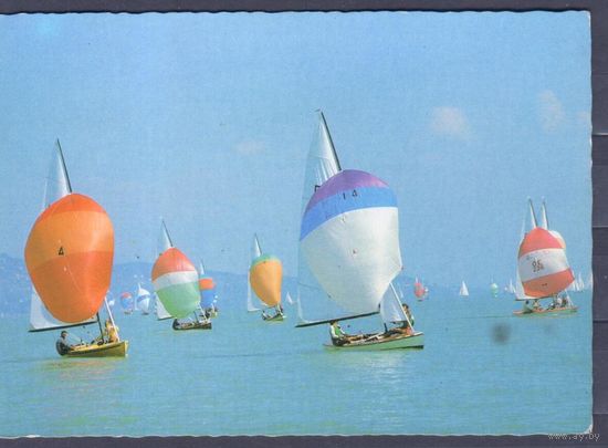 Открытка Венгрия 70-80-е г.г. Отдых и туризм.Озеро Балатон.Яхты.