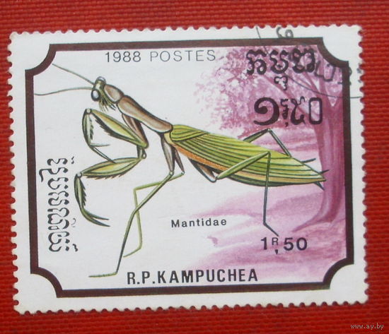 Камбоджа. Насекомые. ( 1 марка ) 1988 года. 8-7.