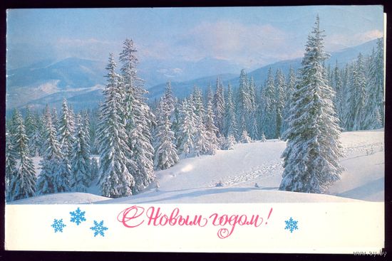 1981 год В.Иванов С Новым Годом!