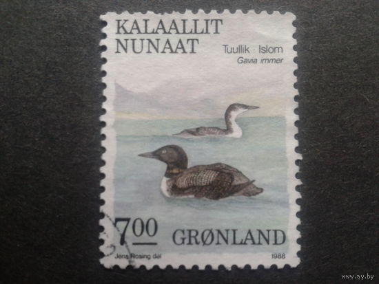 Дания Гренландия 1988 птицы