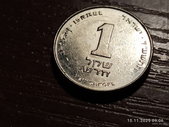 Израиль 1 новый шекель 2014