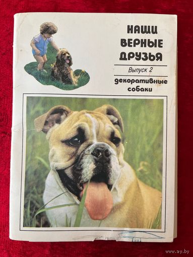 Наши верные друзья. Выпуск 2. Декоративные собаки. 1991 год. 19 из 20 открыток