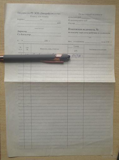 Платежная ведомость, Пинск. Бланк.