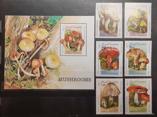 Сомали. 1998 год. Флора. Грибы. Блок (1026)