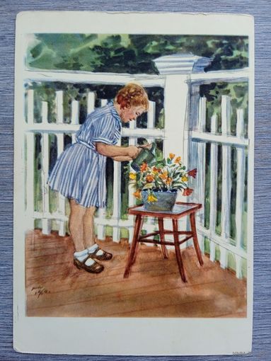 1954. Жуков. Мой садик