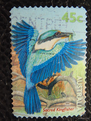 Австралия 1999 г. Птицы.