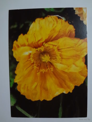 Календарик 1998 г. Еженедельная газета Книга и мы.