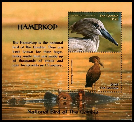 2018 Гамбия 7513-7514/B976 Птицы - Хамеркоп 13,00 евро