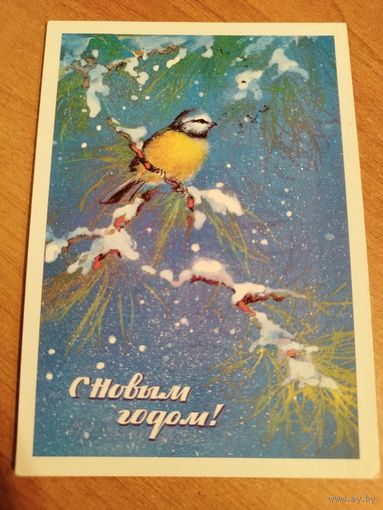 Исаков. 1982