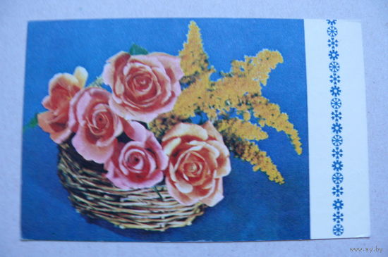 Игнатович Е.(фото), Розы; 1970, подписана.