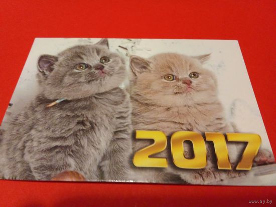 Календарик 2017г.