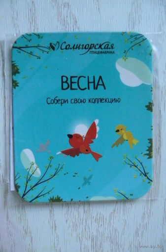 Магнит, 2024; ВЕСНА, Солигорская птицефабрика (месяцы и времена года).