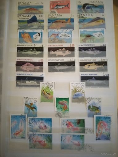 Рыбы. Набор марок.