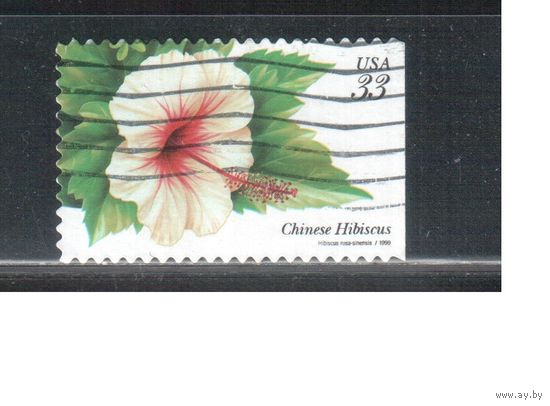США-1999 (Мих.3120) , гаш., Флора, Цветы ,