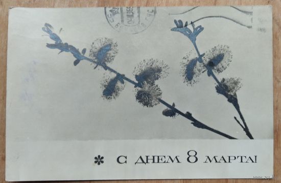 Карпошевич К. 8 марта. 1960-е. Подписана.
