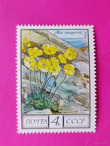 СССР. Флора СССР. ( 1 марка ) 1975 года. 3-1.