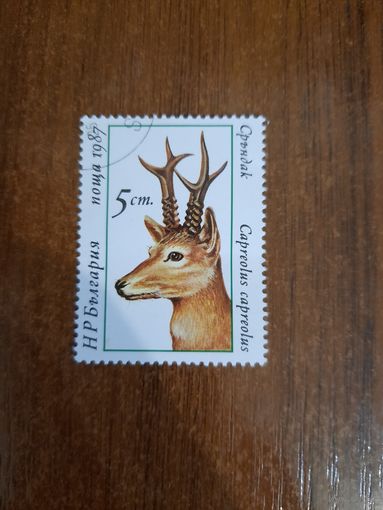 Болгария 1987. Косуля. Марка из серии