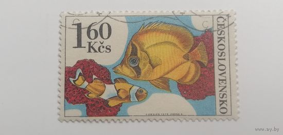 Чехословакия 1975. Аквариумные рыбки.