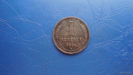 1 копейка 1924                                                                                                                       (4360)