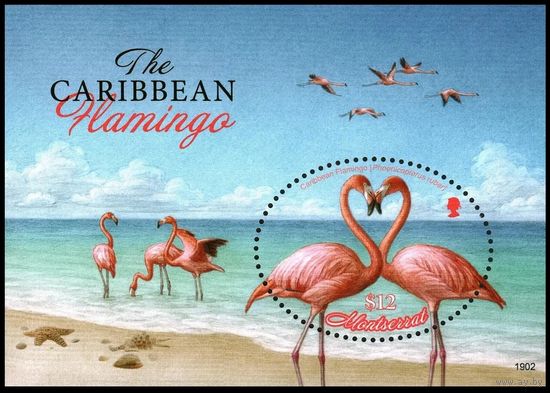 2019 Монтсеррат 1928/B198 Птицы - Фламинго 11,00 евро