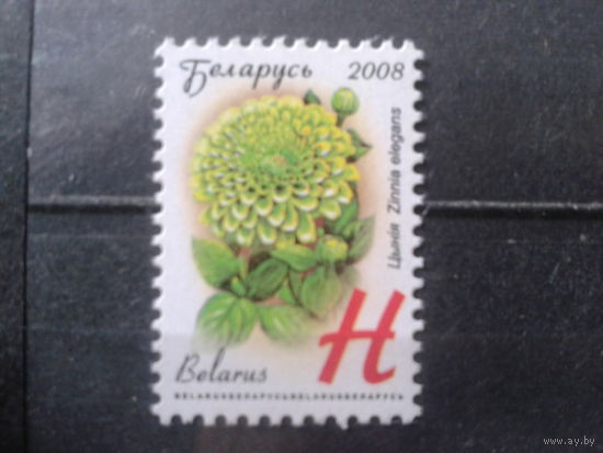 2008 Стандарт, циния**