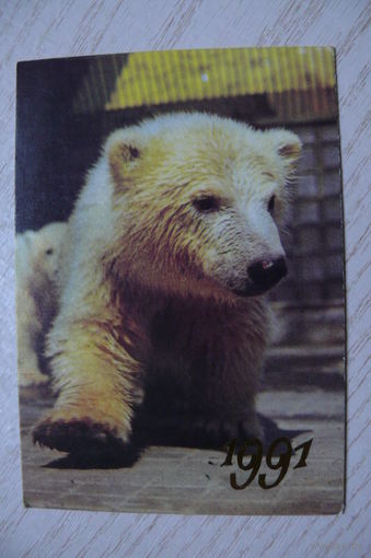 Календарик, 1991, Медведь.