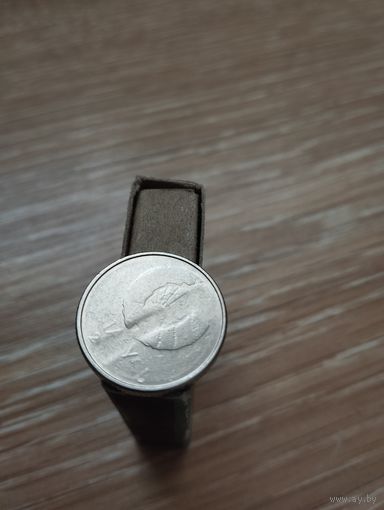 Республика Беларусь . 1 рубль 2009. Интересный  брак. Непрочекан с уходом металла.