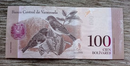 Werty71 Венесуэла 100 боливаров 2013 UNC банкнота