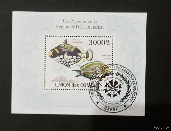 ЛИСТ ФАУНА рыбы морские обитатели  СТО