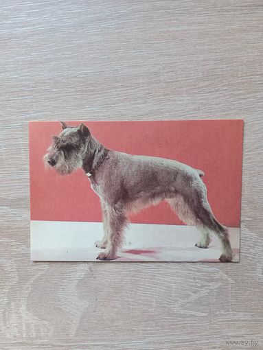 Календарик 1993