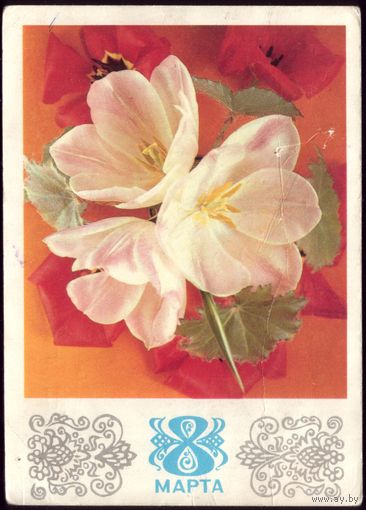 1975 год Г.Костенко 8 марта