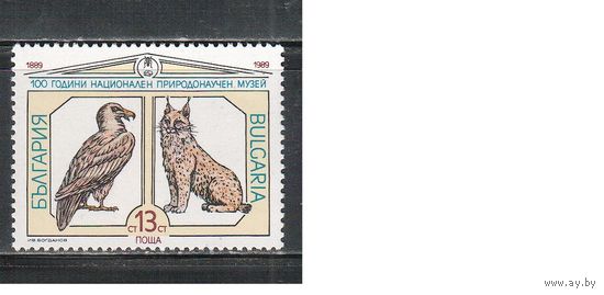 Болгария-1989, (Мих.3778) , **   ,Музей, Фауна  (одиночка)