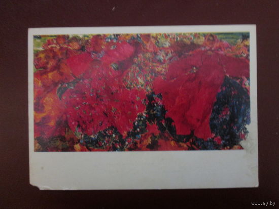Почтовая карточка.1981г.