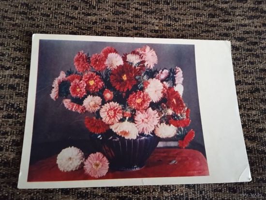 Открытка" Астры и георгины" 1956г.худ ИГНАТОВИЧ.