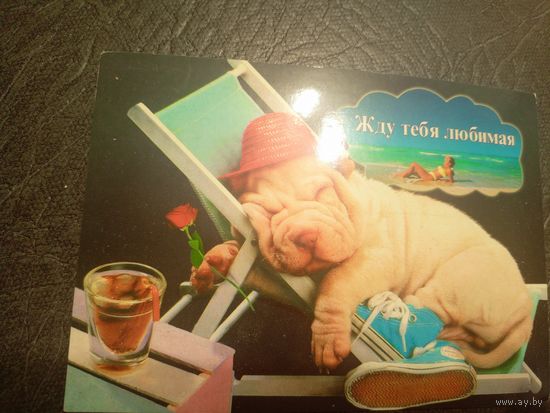 Открытка "ПОЗДРАВЛЯЮ!"