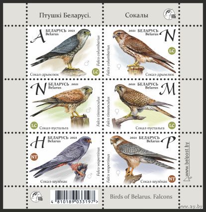 2021 Беларусь Малый лист орнитология фауна хищные птицы соколы 6х-марок+ купоны**
