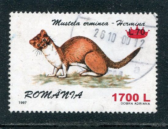 Румыния. Фауна. Пушные звери