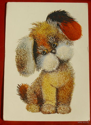 Собачка. Чистая. 1989 года. Манилова. 518.