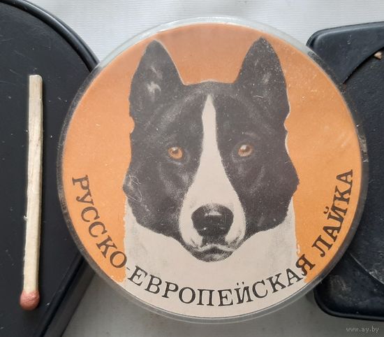 Русско-европейская лайка. Бв-58