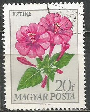 Венгрия. Цветы. Ночная красавица. 1968г. Mi#2452.