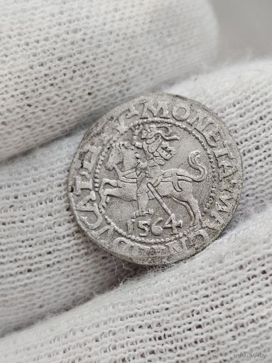 Полугрош 1564 состояние