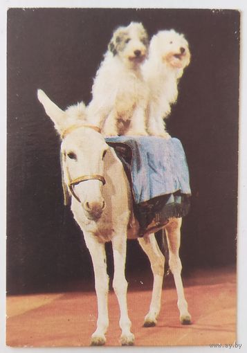 Календарик 1985